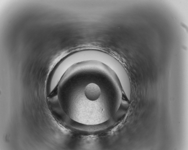 X0000095110248200712141158