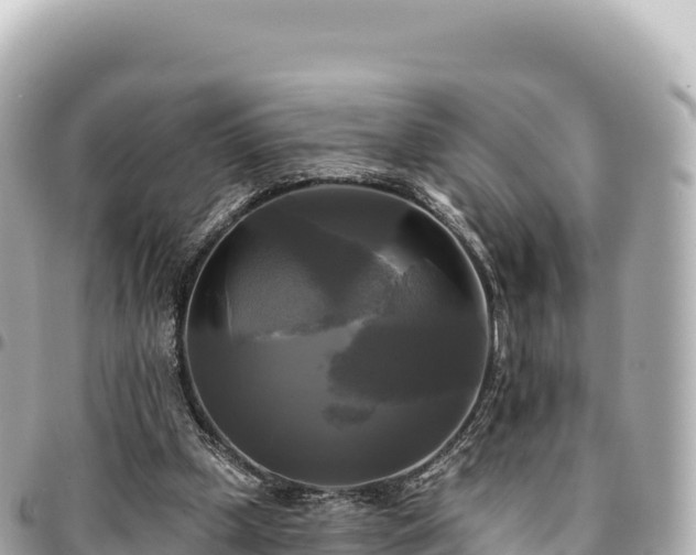 X0000095110249200712141158