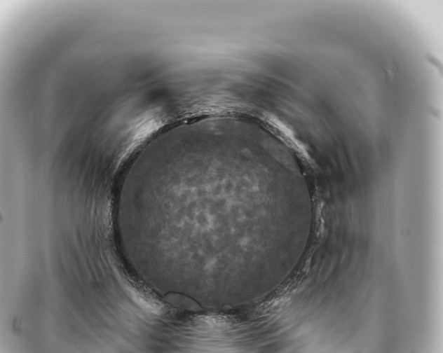 X0000095110250200712141158