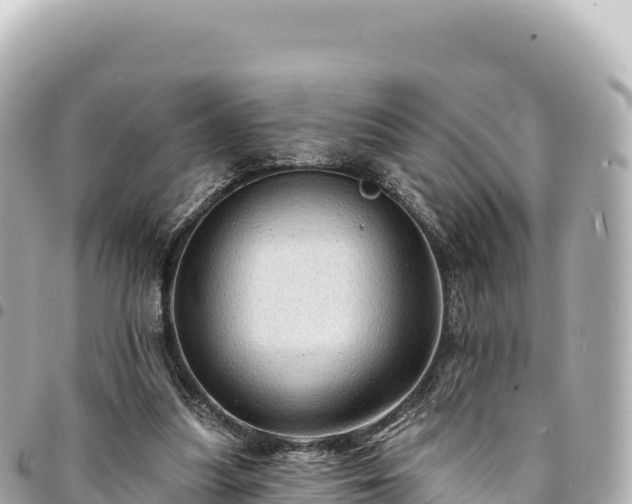 X0000095110251200712141158