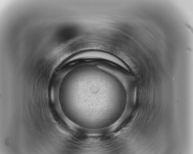 X0000095110252200712141158