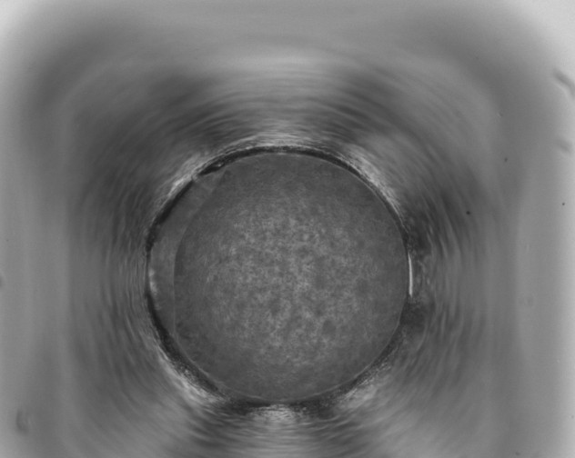 X0000095110253200712141158