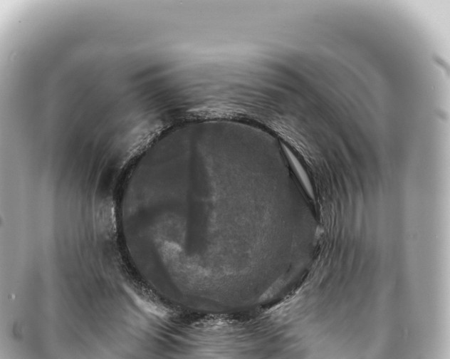 X0000095110254200712141158