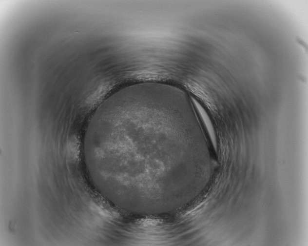 X0000095110255200712141158