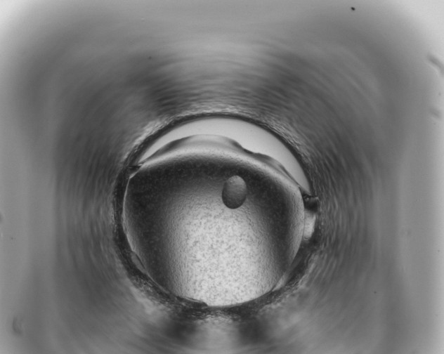 X0000095110256200712141158