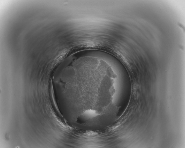 X0000095110257200712141158