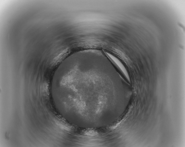 X0000095110258200712141158