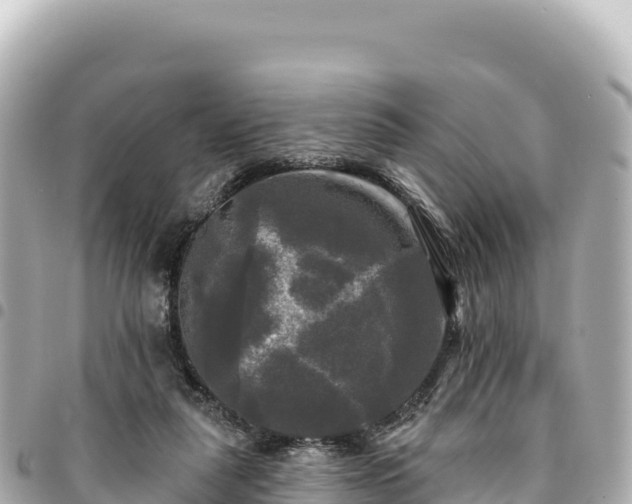 X0000095110259200712141158