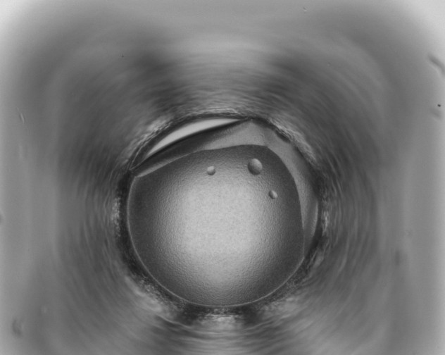 X0000095110260200712141158