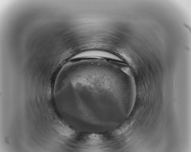 X0000095110261200712141158