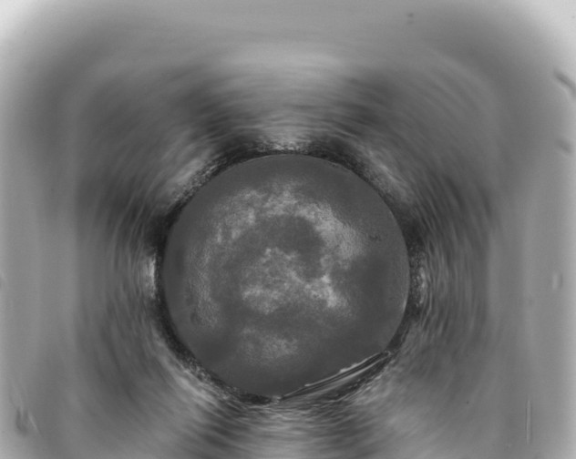 X0000095110262200712141158