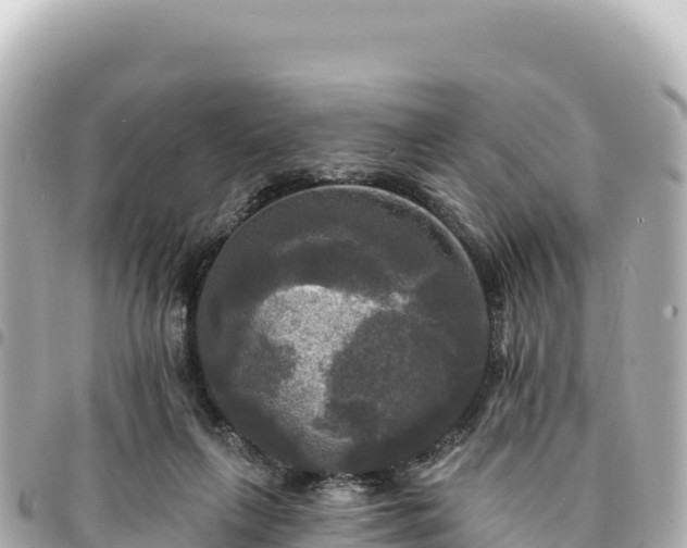 X0000095110263200712141158