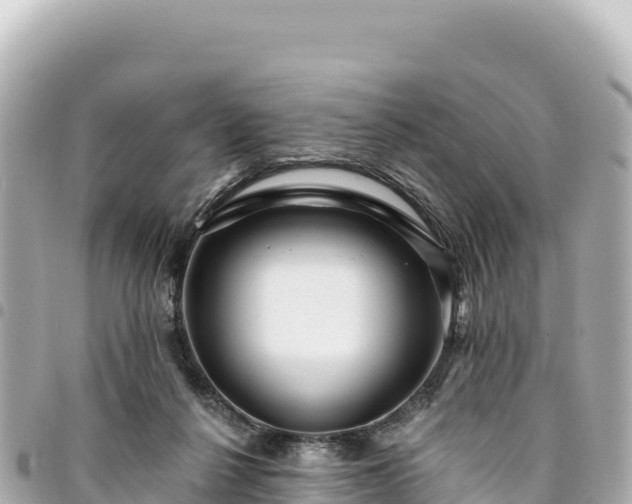 X0000095110264200712141158