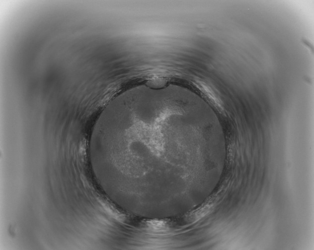 X0000095110265200712141158