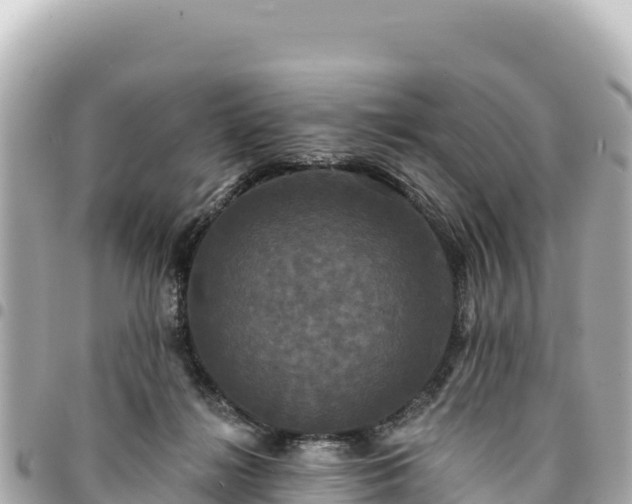 X0000095110268200712141158