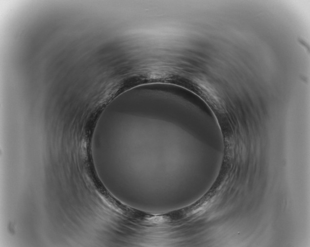 X0000095110269200712141158