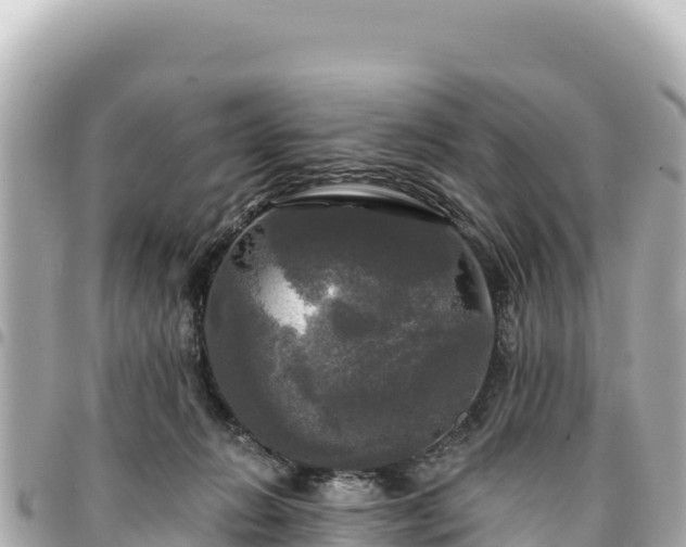 X0000095110270200712141158