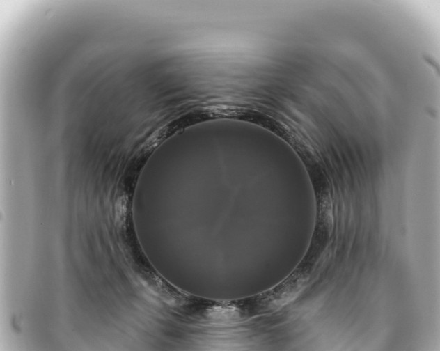 X0000095110271200712141158