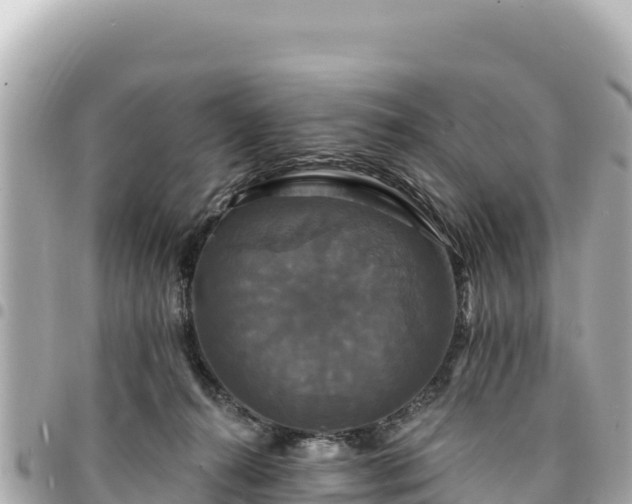 X0000095110272200712141159