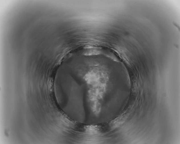 X0000095110273200712141159