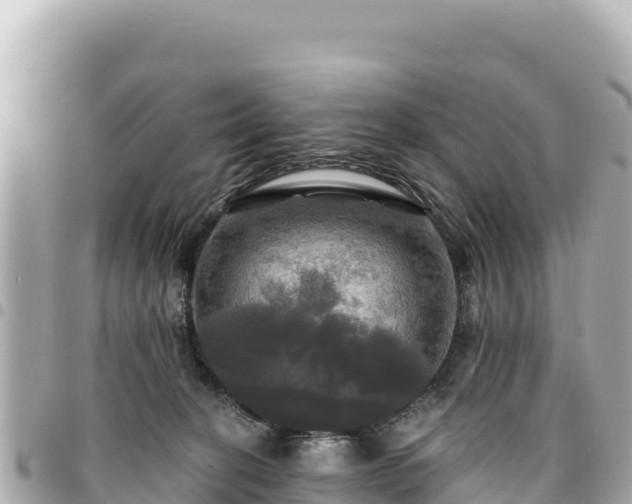 X0000095110274200712141159