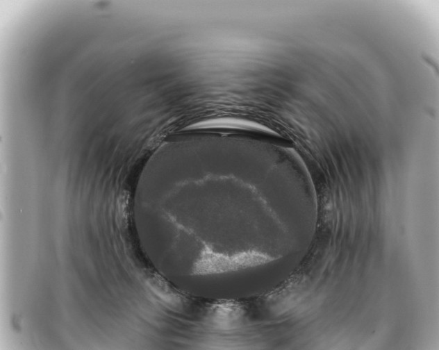 X0000095110275200712141159