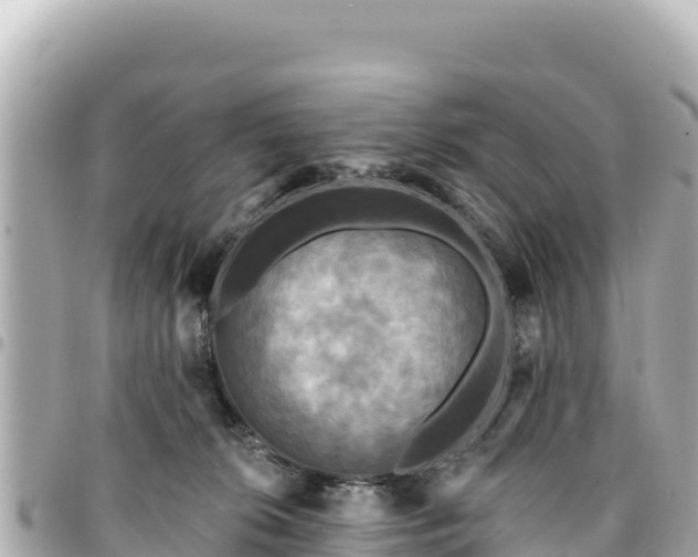 X0000095110276200712141159