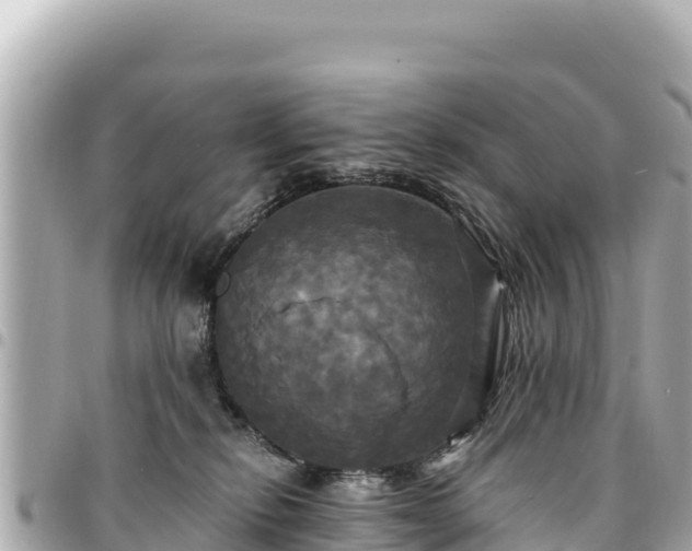 X0000095110278200712141159