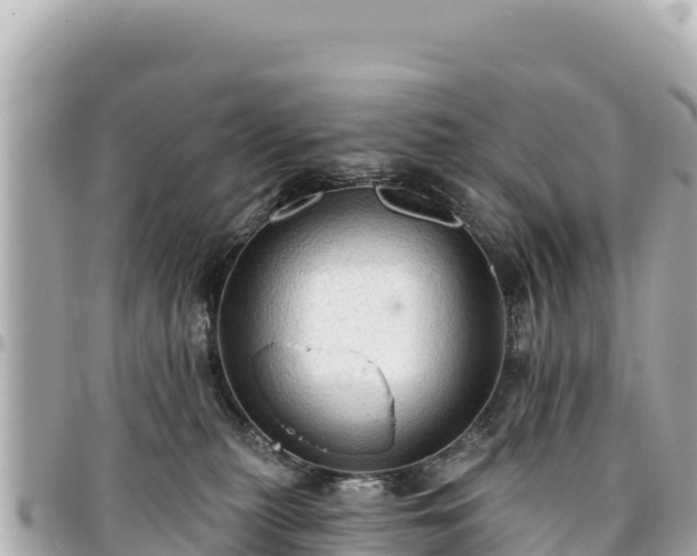 X0000095110279200712141159