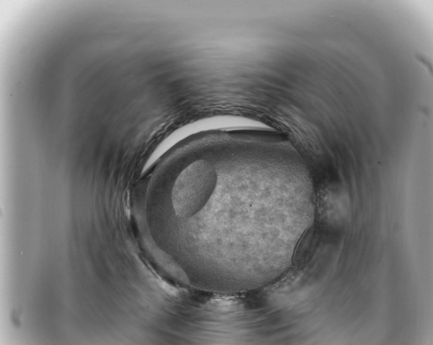 X0000095110280200712141159