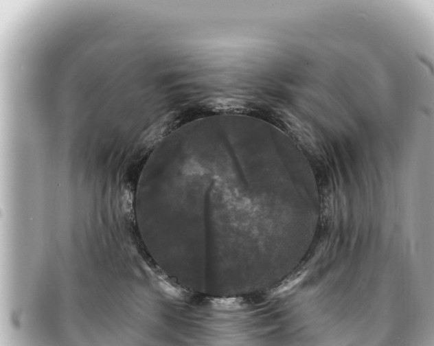 X0000095110281200712141159