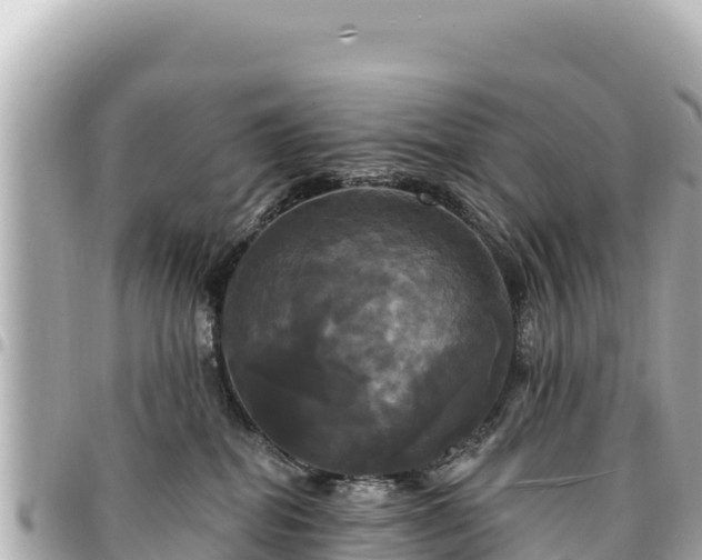 X0000095110282200712141159