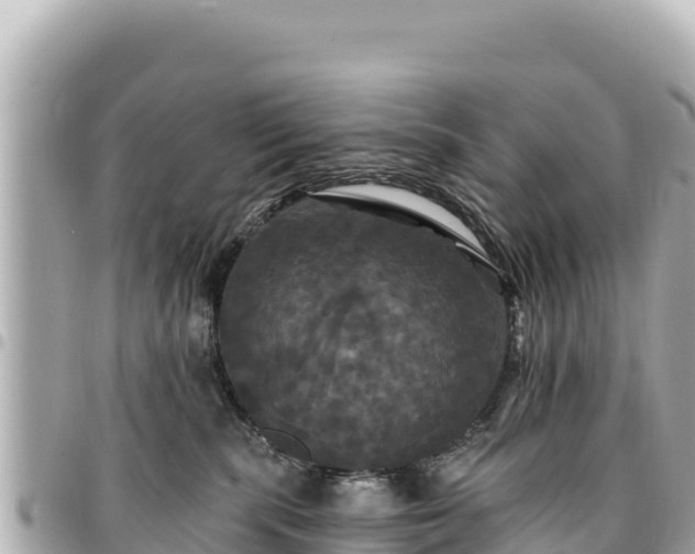 X0000095110283200712141159