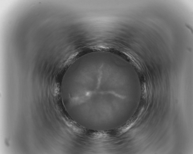 X0000095110284200712141159