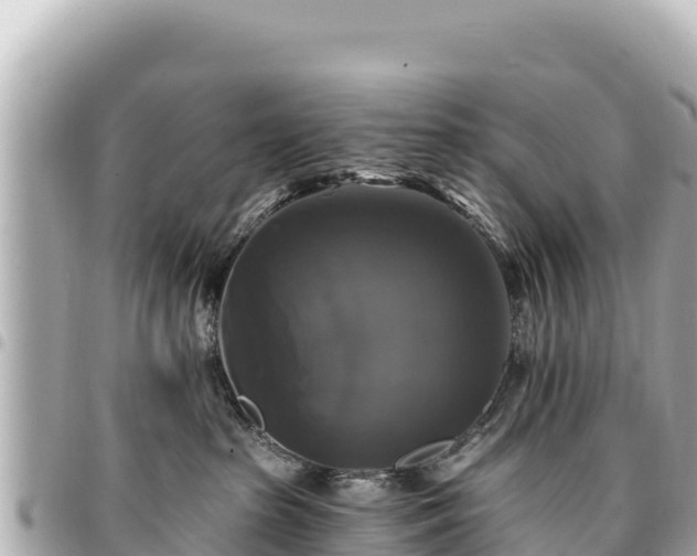 X0000095110285200712141159