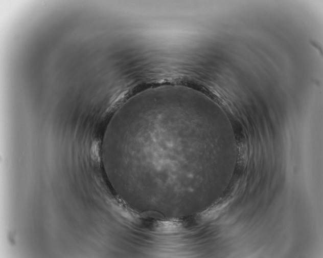 X0000095110286200712141159