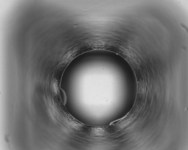 X0000095110287200712141159