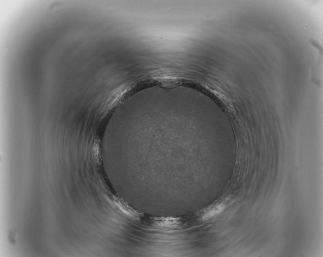 X0000095110288200712141159