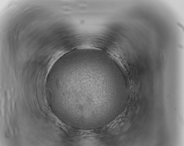 X0000095110289200712141158