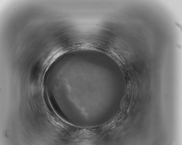 X0000095110290200712141158