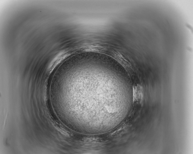 X0000095110291200712141158