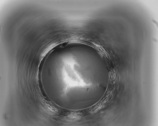 X0000095110292200712141158