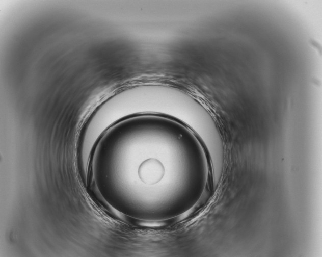 X0000095110293200712141158