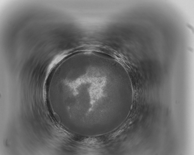 X0000095110294200712141158