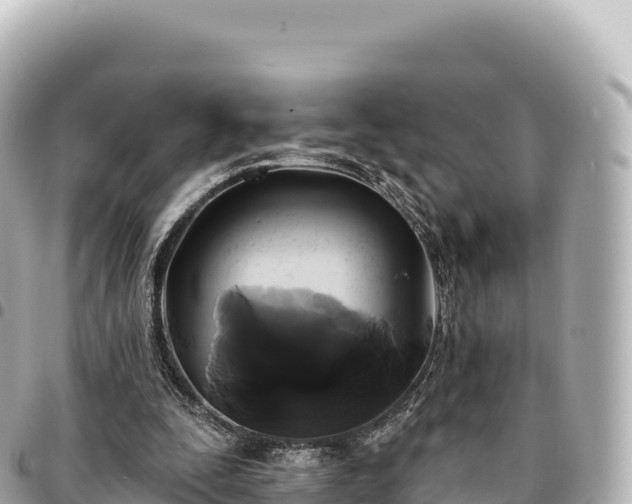 X0000095110295200712141158