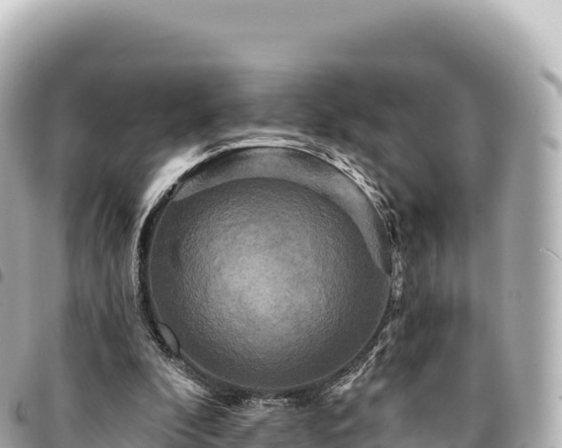 X0000095110296200712141158