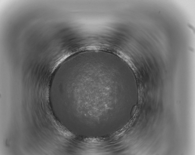 X0000095110297200712141158