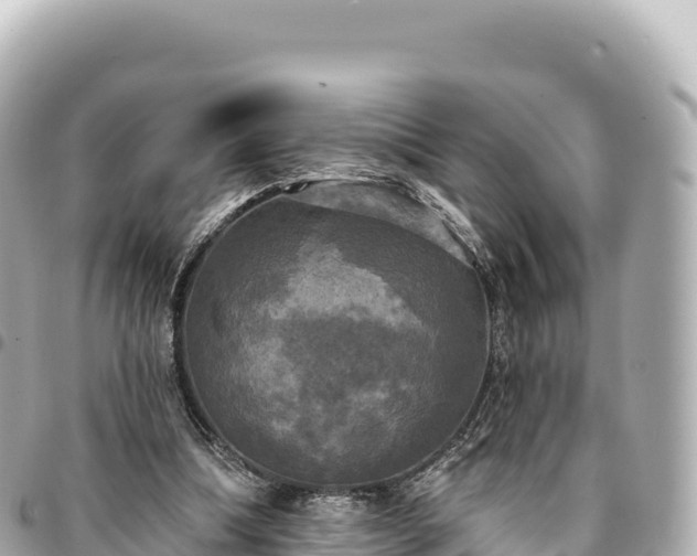 X0000095110298200712141158