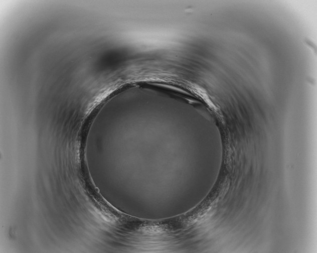 X0000095110299200712141158