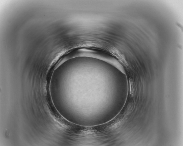 X0000095110300200712141158